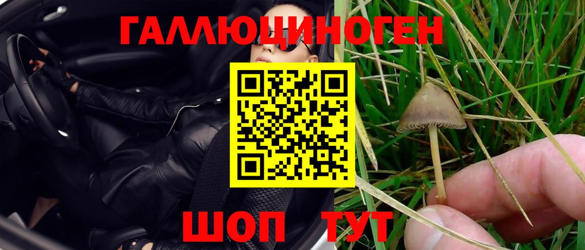 Псилоцибиновые грибы мухоморы  Вход с VPN  Рязань 